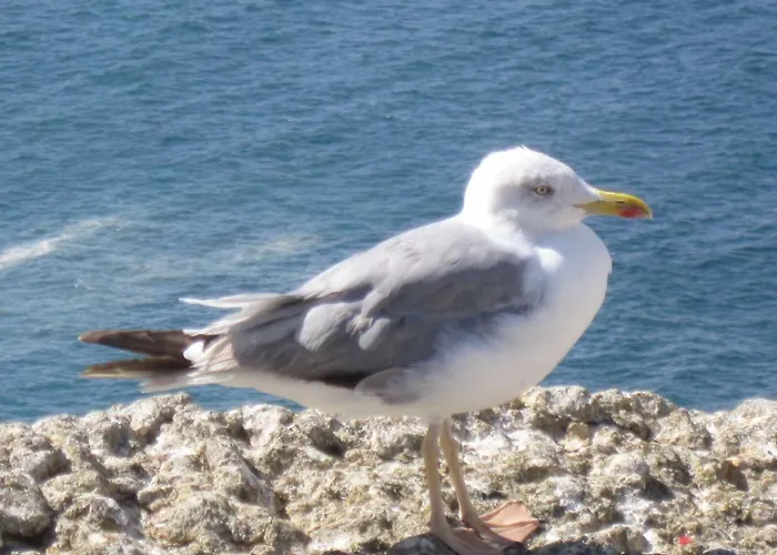 Seethesea Apartamento